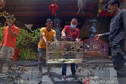 Warga Tionghoa lepas burung sambut Tahun Baru Imlek