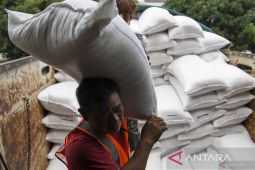 Stok beras Perum Bulog Bangka cukup hingga tiga bulan