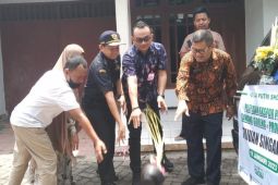 Bawang goreng produksi Probolinggo sukses ekspor perdana ke Singapura