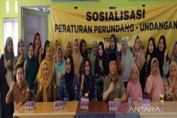 DPRD Kalsel pro aktif cegah kekerasan terhadap perempuan dan anak