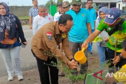 Pemkab Bangka Tengah tanam 3.000 bibit pohon ketapang