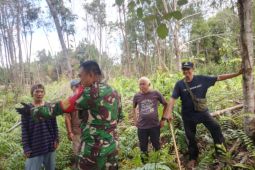 TNI patroli antisipasi Karhutla di Kalis Kapuas Hulu