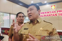 C Kalimantan seeks gov't support in forest, land fire handling