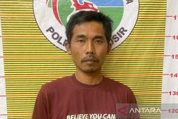 Polres Samosir tangkap pelaku penyalahguna narkoba