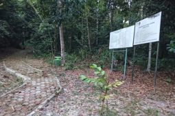 Hutan kota IKN akan tanam 15 juta pohon