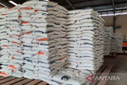 Bulog Bangka tambah pasokan 500 ton beras jaga stabilitas harga