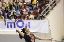 Proliga 2023: Putri Popsivo Polwan redam perlawanan Jakarta BIN 3-2