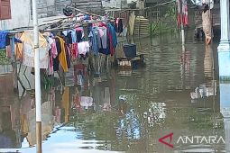 Banjir rob landa lingkungan Parit Pekir di Sungailiat