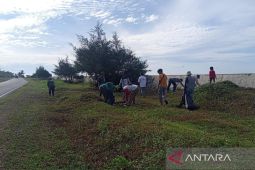Pemkab Mukomuko tanam pohon di ruang terbuka hijau