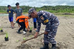 GMLS tanam 2.450 pandan laut di Pantai Cimangpang