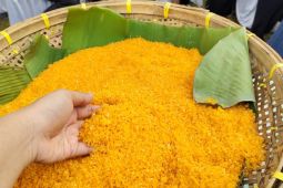 Pakar: Mahasiswa perlu gali potensi pangan fungsional dari lokal