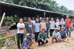 851 UMKM pertanian Kabupaten PPU dapat  KUR Rp39,6 miliar