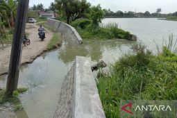 Pemkab Bekasi koordinasi dengan BBWS Citarum atasi tanggul jebol