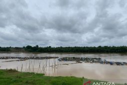 Ratusan keramba ikan petani Desa Aro Kabupaten Batanghari terbawa arus, kerugian capai Rp2 miliar
