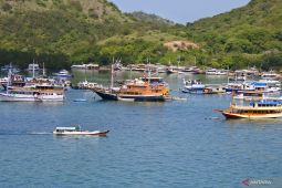 Kapal wisata tenggelam dinilai rugikan citra wisata Labuan Bajo, NTT