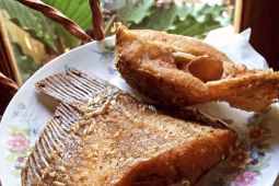 Konsumsi ikan penting untuk dukung tumbuh kembang anak