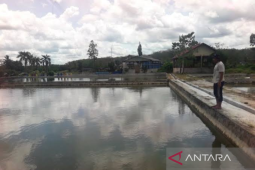 DKP2TPH Tabalong kembangkan BBI untuk pembesaran ikan