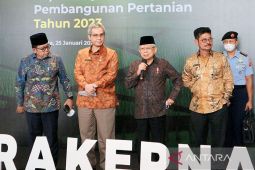 Wapres Ma'ruf minta Kementan tak hanya fokus pada surplus beras