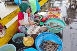 Produksi ikan lokal di Banjarmasin menurun akibat hujan terus menerus