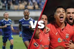 Persib Bandung ke puncak klasemen usai taklukkan Borneo FC 1-0