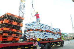 Pupuk Indonesia siapkan 310.822 ton pupuk subsidi untuk Indonesia Timur
