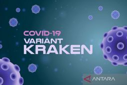 Number of Kraken cases reaches 3