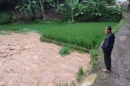 Dinas Pertanian Garut asesmen kerugian pertanian akibat bencana