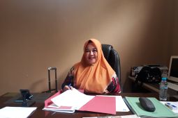 Babel dorong Kemenhub buka penerbangan internasional di Belitung