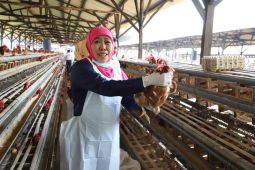 Pemprov Jatim komitmen wujudkan ketahanan dan swasembada pangan nasional