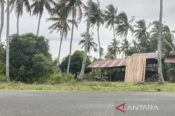 Pemkab Mukomuko imbau warga waspadai bencana angin kencang