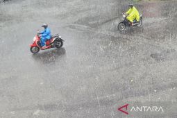 BMKG prakirakan Jambi berpotensi hujan lebat