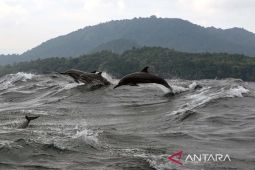 BMKG: Gelombang 4 meter berpeluang terjadi di perairan Sabang