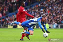 Liverpool dapatkan pemain asal Argentina Mac Allister