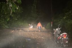 Belasan titik longsor dan pohon tumbang, akses ke wisata Iboih lumpuh total