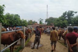 Pemkab Ponorogo sterilisasi pasar hewan dampak wabah PMK merebak