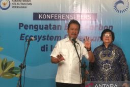 KLHK: Ekosistem karbon biru jadi upaya mitigasi perubahan iklim