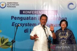 KLHK tegaskan komitmen perkuat ekosistem karbon biru