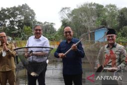 Kementerian PDTT sinergikan Program Desa Jokowi dengan "Murok Jerami"