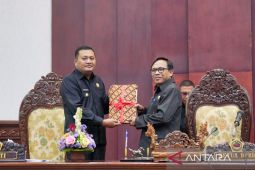 DPRD Gianyar tetapkan 9.232,65 ha sawah dilindungi