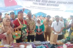 Pembangunan pabrik CPO dan minyak makan merah akan didanai BPDPKS