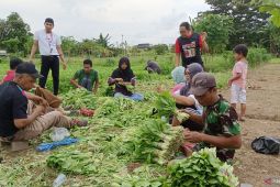 Musoli, tak dibatasi keterbatasan