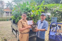 Lestarikan alam, Pemkab Lebak lakukan gerakan penghijauan di lahan kritis