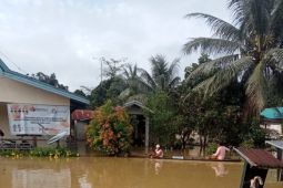 Banjir menggenangi permukiman dan lahan pertanian di Kecamatan Embaloh Hulu