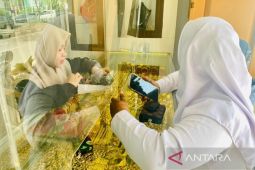 Harga perhiasan emas di Meulaboh Aceh naik menjadi Rp3,08 juta/mayam