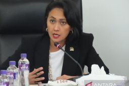 DPR RI optimistis TNI-Polri mampu bebaskan pilot Susi Air