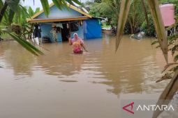 Empat wilayah di Tapin dilanda banjir