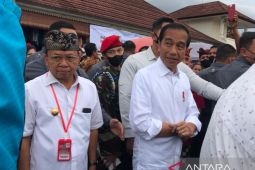 Jokowi sebut ruang kontrol pusat ke bupati/wali kota terlalu jauh tanpa gubernur