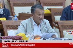Menteri ESDM ungkap alasan revisi aturan penetapan harga gas industri
