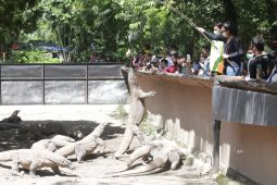 Komisi B: Rencana pembukaan "night zoo" di KBS ganggu kenyamanan satwa