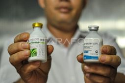 Percepatan Pengendalian PMK di Bengkulu